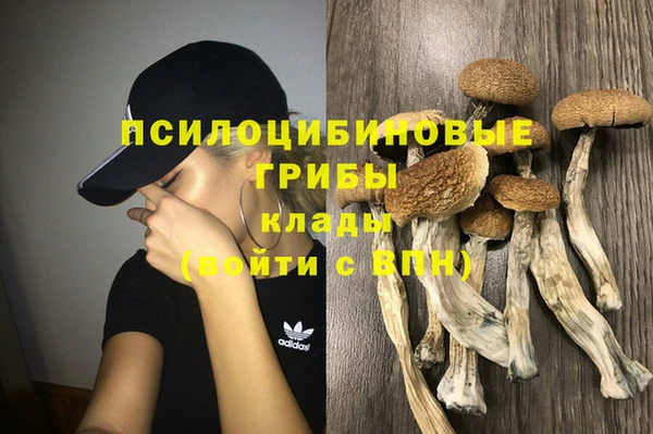 крисы Верхний Тагил