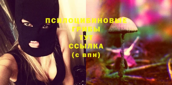 крисы Верхний Тагил